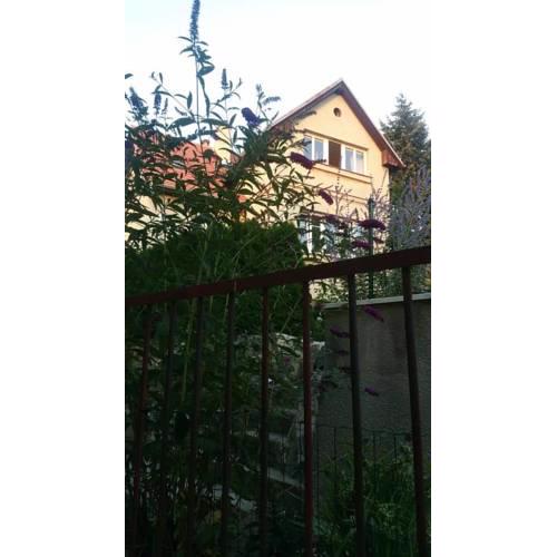 Relax in greenery close Prague centre