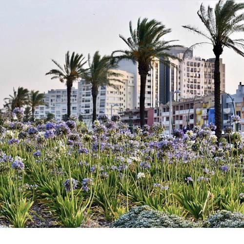 Relax & Lux in the Costa Brava
