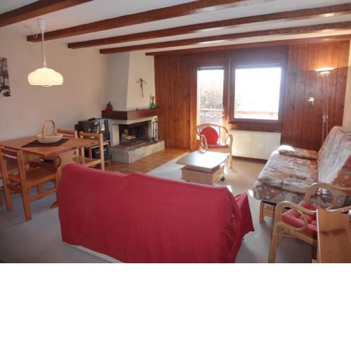 Renoir 113