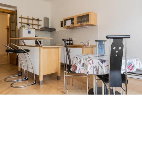 Renovated Apartment Dejvice