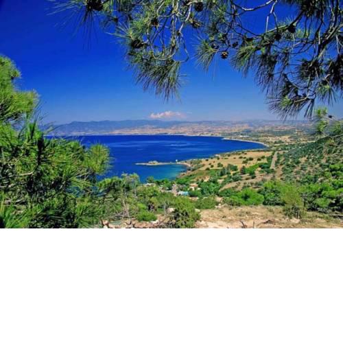 Rent Your Dream Holiday Villa in Paralimni and Look Forward to Relaxing Beside Your Private Pool, Paralimni Villa 1232