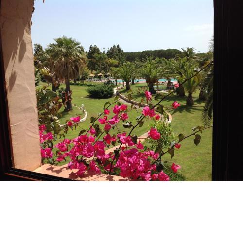 Residence Baia Delle Palme