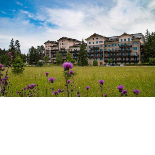 Residence Grand Hotel Carezza