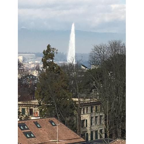 Residence Luxurious Genève