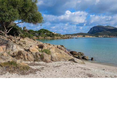 Residence Orizzonti app n 25