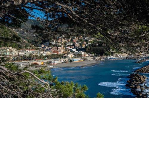 Residence Paradiso Monolocale 305