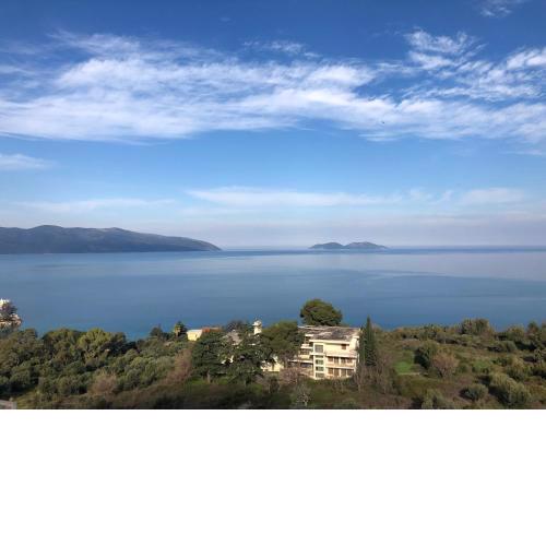 Residential rent apartment