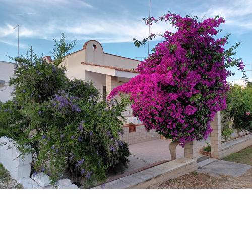 Residenza del Carrubo Villa a 50 m dal mare