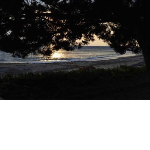 Right next to the sea