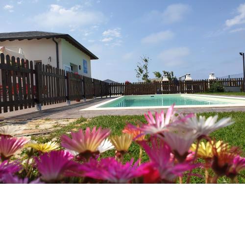 RinloCosta Camping