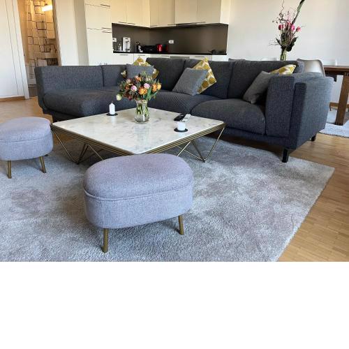 Rive Lake Rhône Flat