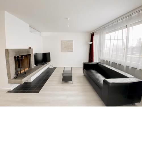 Riverside Apartment Zurich Center (1BR)