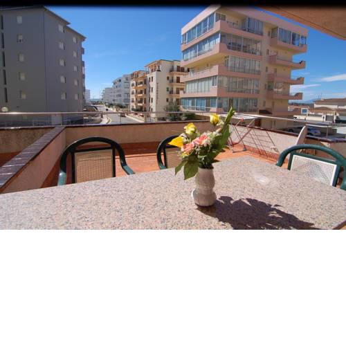 RNET - Roses Marinada