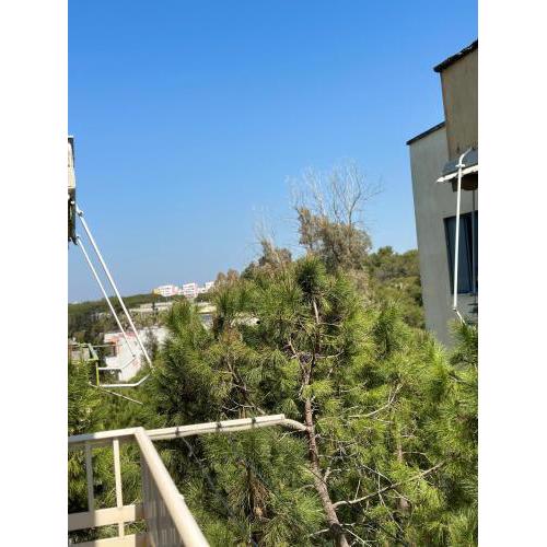 Roan apartament near sea