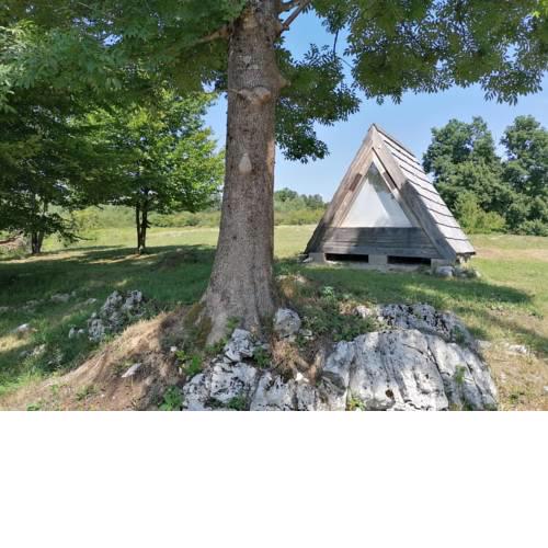 Robinson camp Organic