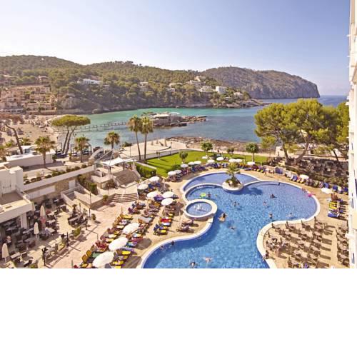 Roc Gran Camp de Mar