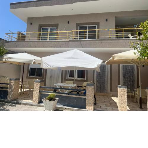 Roel 1 nr 88 Vlore