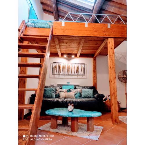 RoHouse -Experience-