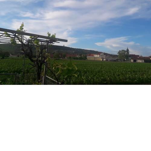 Rohrendorf