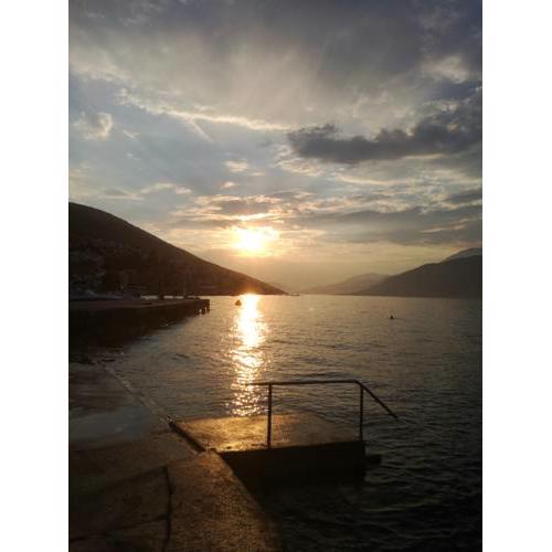 Romana