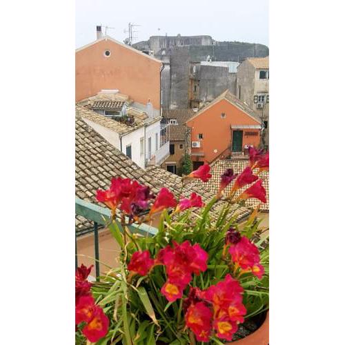 Roof Garden House