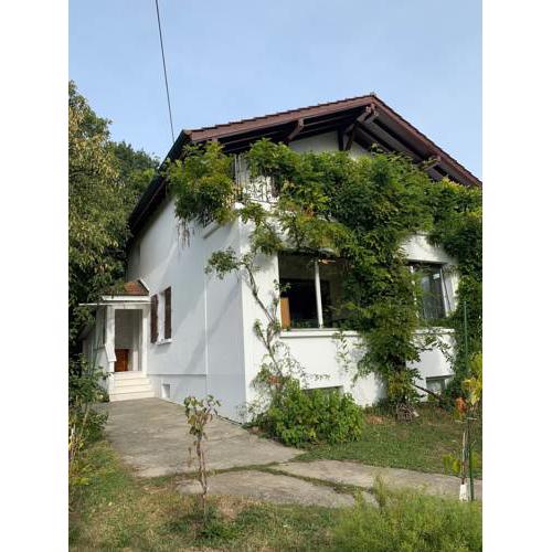Room 7 with wifi near airport and Palaexpo