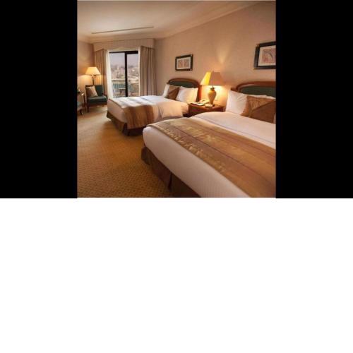 Room in BB - Conrad Cairo,twin classic Room, Partial Nile View