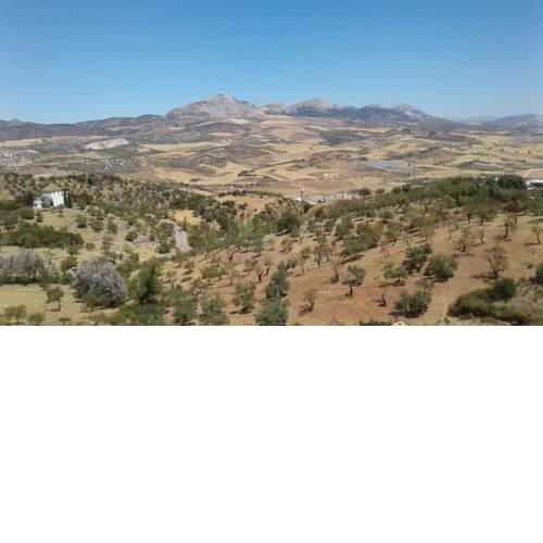 Room in beautiful Andalusian villa on the hills of Malaga