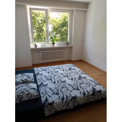 Room in Kusnacht close to the train station and 2 min away from the lake.