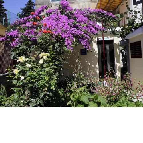 Room in Little House Marjan