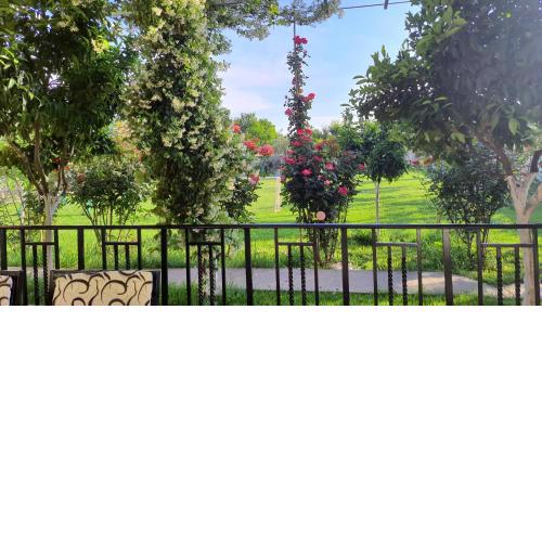 Room with private garden