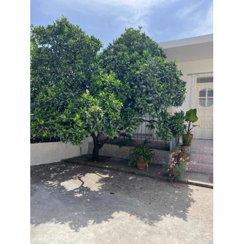 Rooms for rent habipi