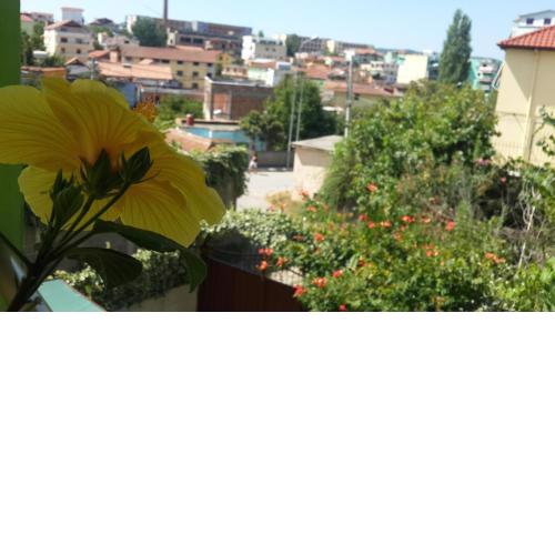 Rooms Primavera Vila