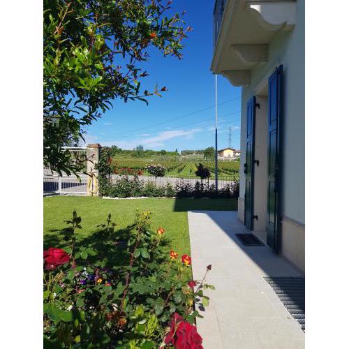 ROSETO HOLIDAYS AZZURRO