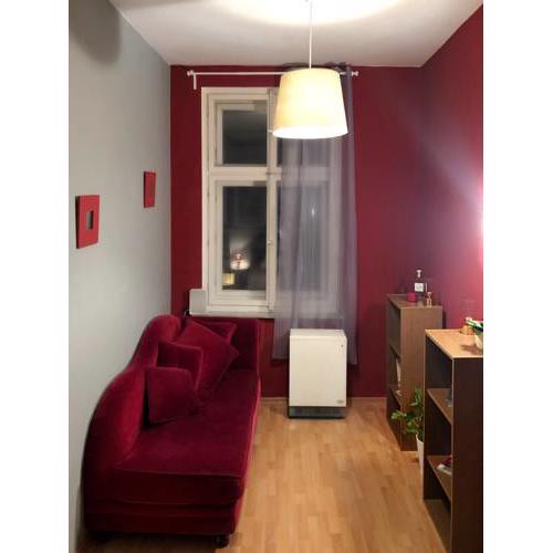 ROSEWIND Apartments - Seifertova