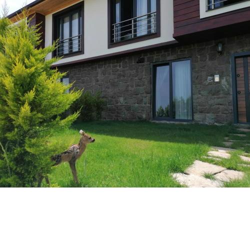 Royal Villa