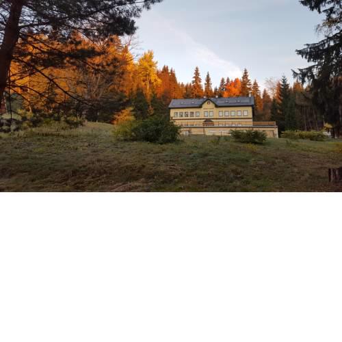 RS BERNOV Zátiší
