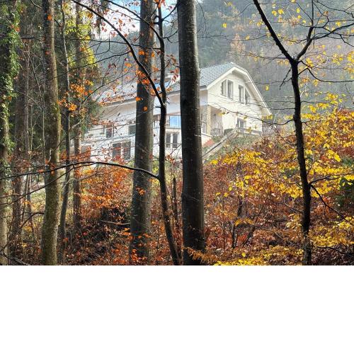 Ruhepol in den Voralpen