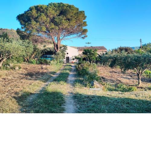 Rustico in campagna a due passi dal mare - Scopello