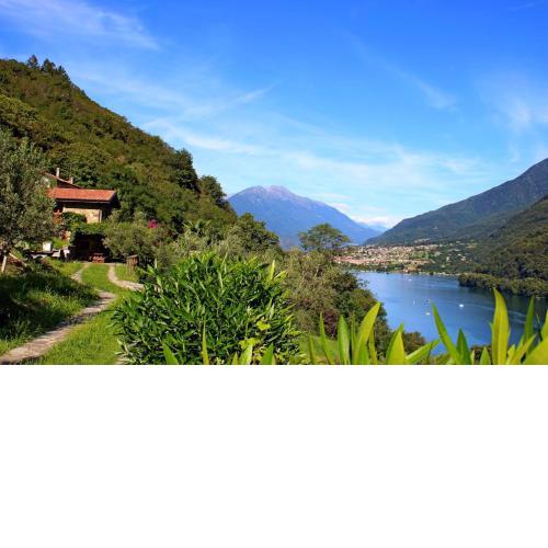Rustico Ulivi - Ferienhaus in Colico Bucht Piona