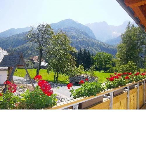 Rute Hotel and Apartments
