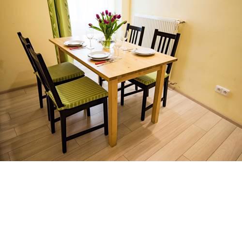 Ruterra Flat in Prague's Heart