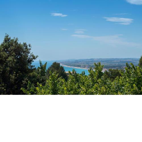 S029 - Sirolo, deliziosa mansarda condizionata vista mare
