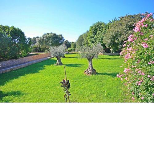 Sa Pleta Villa Petra 027