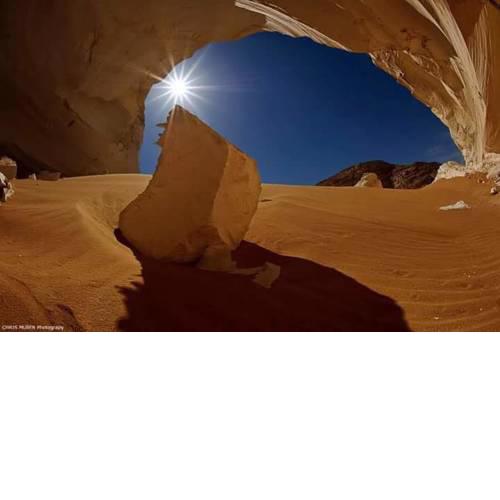 safari bahryia tours