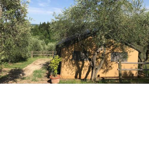 Safaritent Glamping Agricamping Romita
