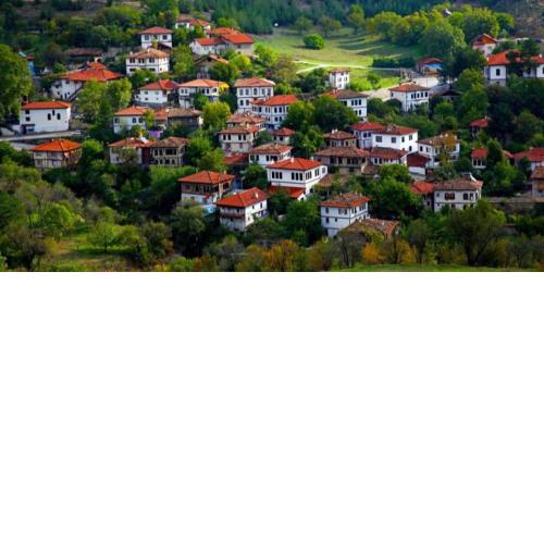 Safranbolu Yesilbaglar Room