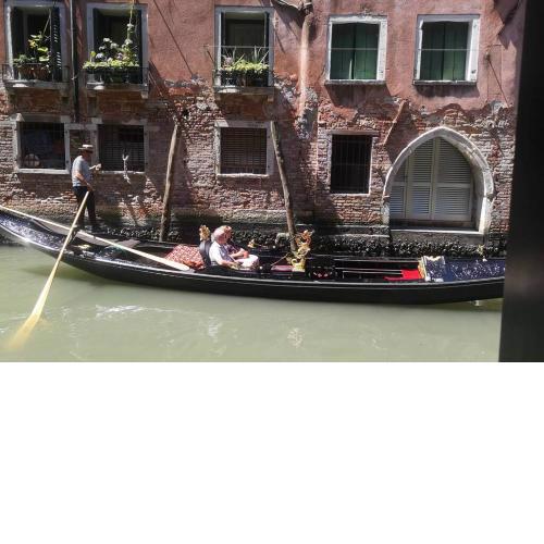 SAINT MARK CANAL VIEW