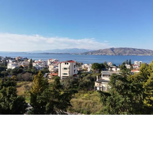 Salamina's apartment