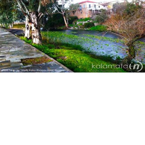 San Floran Houses 'mini"